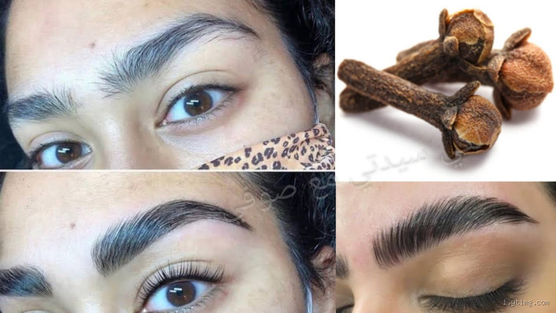 هل القرنفل يكثف الرموش؟ الحقيقة وراء هذه الخرافة