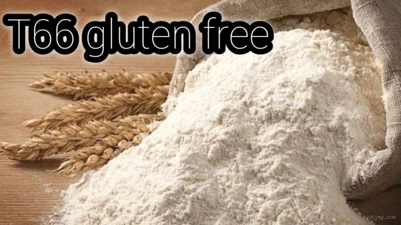 كيف احصل على دقيق خالي من الجلوتين؟ إليك أفضل الطرق