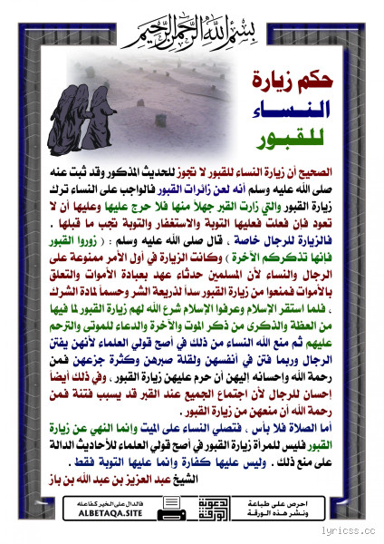 ما هو أجمل حصان في العالم؟ اكتشف التفاصيل الرائعة لهذه الكائنات