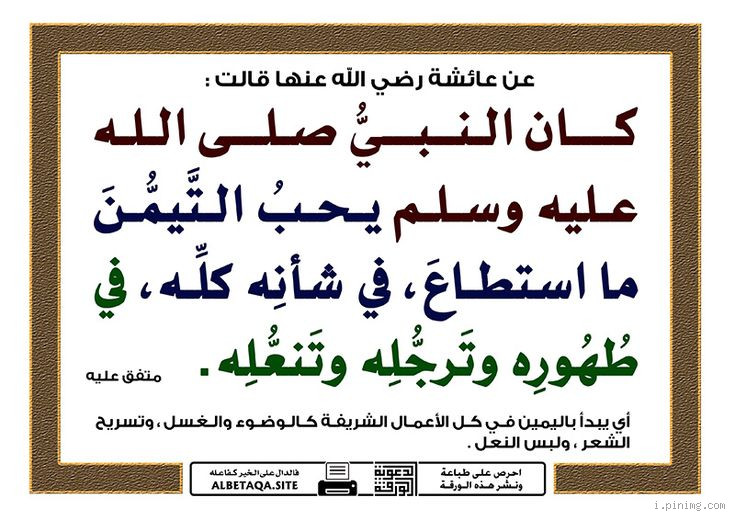 هل كان النبي يحب عائشة أكثر من فاطمة؟ حقيقة مشاعر النبي تجاه أحبائه