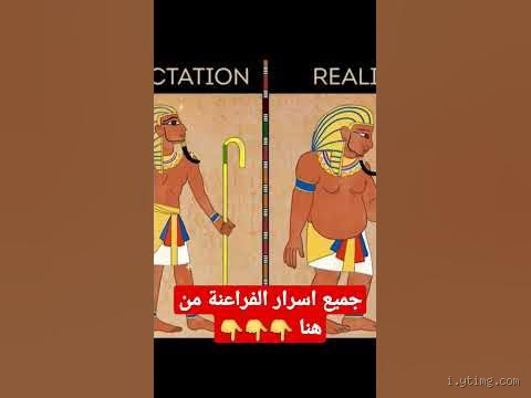 هل عاصر سليمان الفراعنة؟ الحقيقة وراء هذا السؤال الغامض