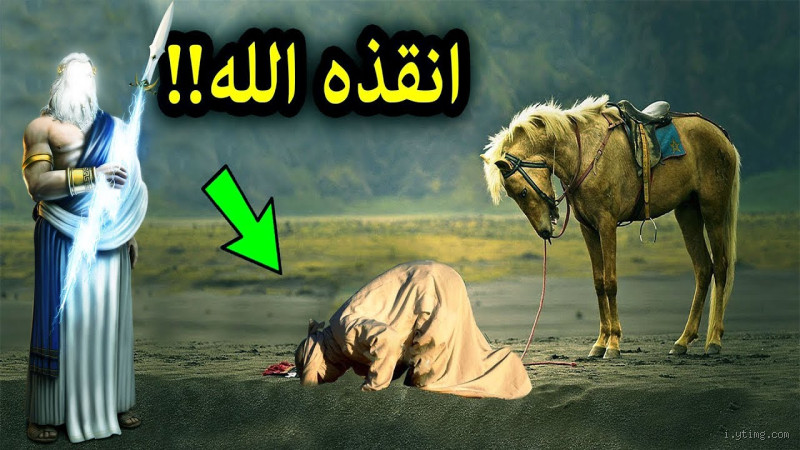 ما اسم حصان علي بن أبي طالب؟ تعرف على حصان "الرضوان" الشهير