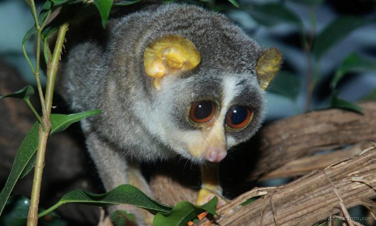 هل خلق الله الكون ثم تركه؟ تأملات في المعنى والوجود