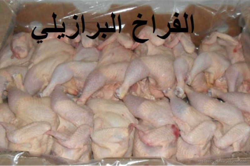 هل الفراخ البرازيلي مذبوحة حلال؟ إليك الحقيقة