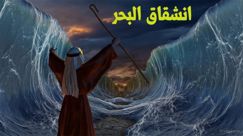 هل الرسول حذر من البحر؟