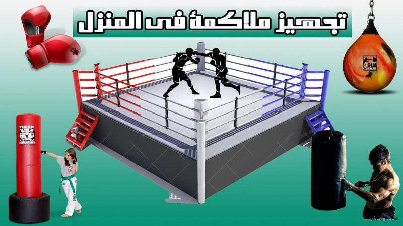 هل ملاكمة حلال؟ تعرف على الجواب الكامل!