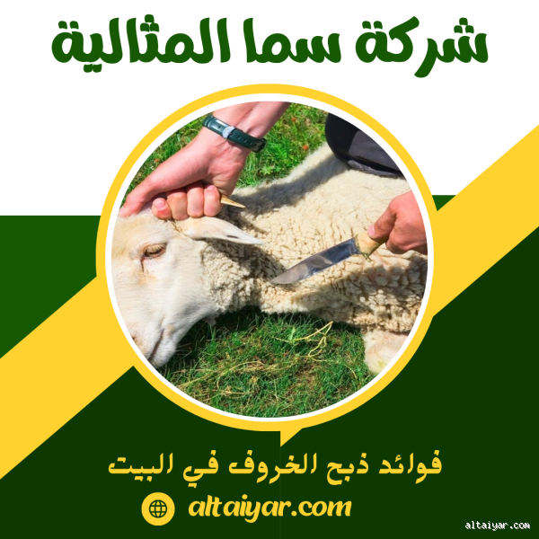 هل يجوز ذبح خروف للبيت الجديد؟ رأي الشرع والعرف والعقل