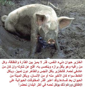 هل يجوز أكل لحم الخنزير في الديانة المسيحية؟