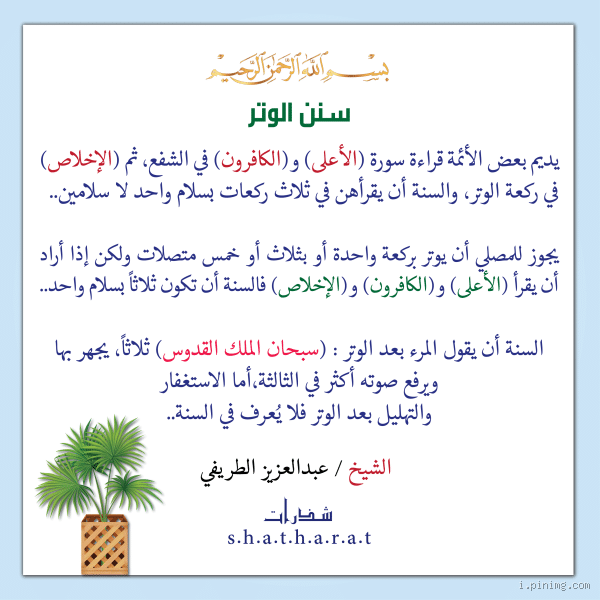 هل يجوز صلاة ركعتي الشفع فقط؟ فهم حكم صلاة الشفع والوتر