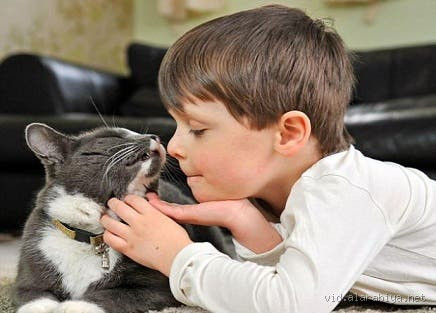 هل يخاف طفل التوحد من الحيوانات؟ فهم التفاعل بين التوحد والحيوانات