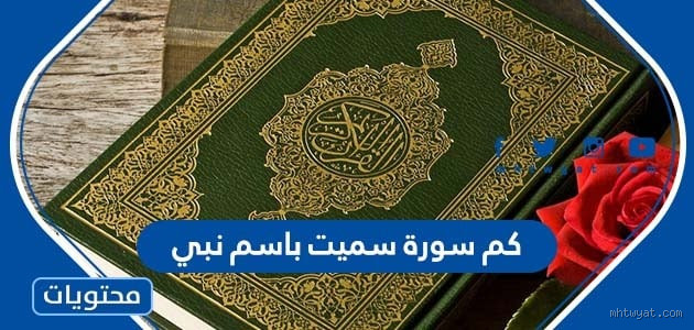 هل يمكنك جعل القصة مرئية لشخص واحد فقط؟ اكتشف كيف ولماذا