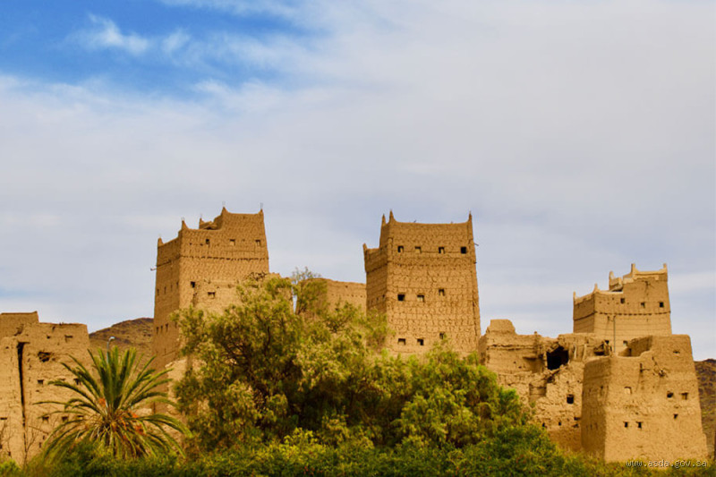 كم فخذ في عسير؟ تعرف على العدد والمعنى الثقافي