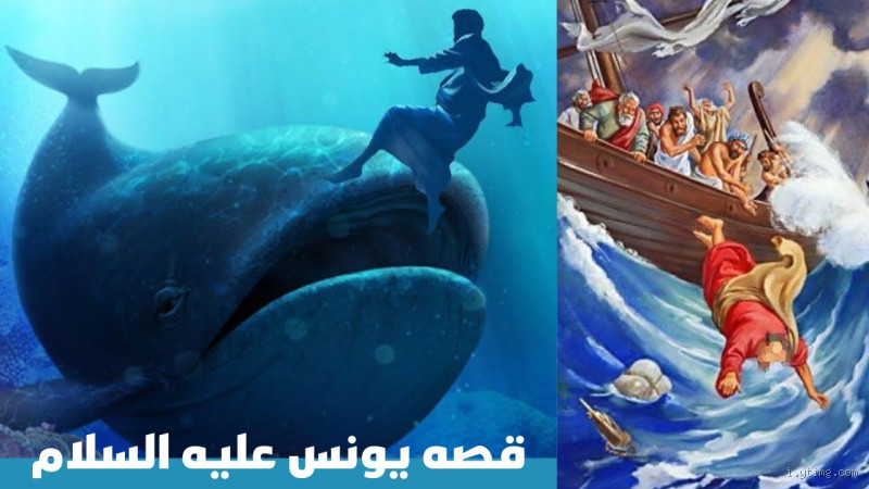 كم عمر الحوت يونس؟ اكتشف السر وراء القصة القديمة