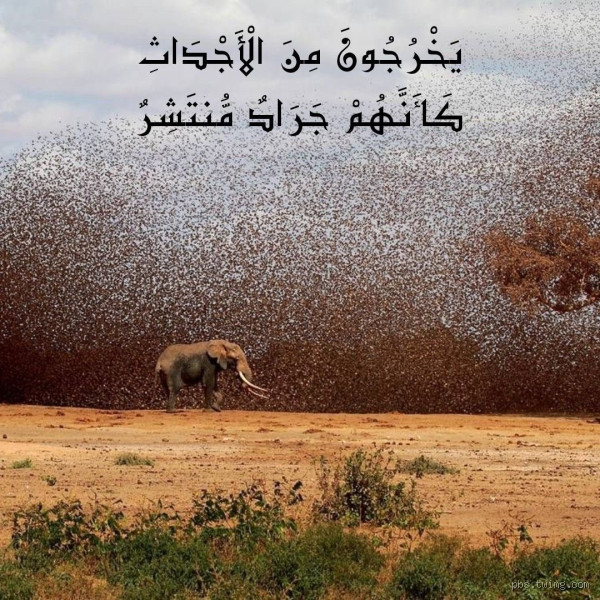 لماذا حرم الله فتح القبور؟