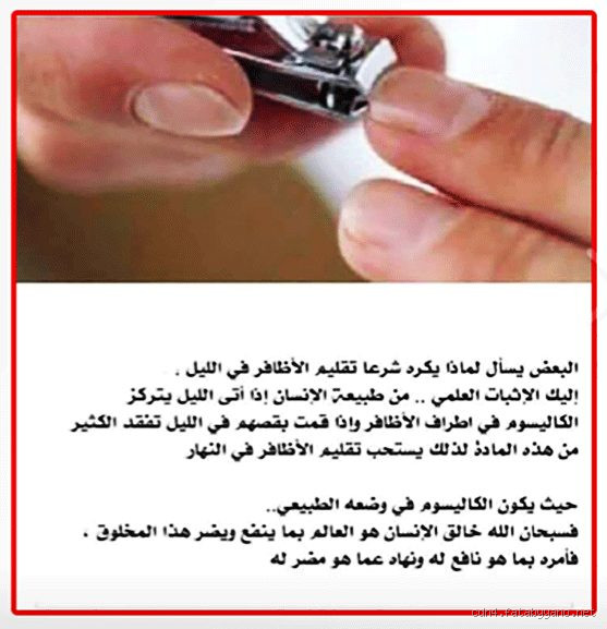لماذا لا يجوز قص الأظافر يوم الأربعاء؟ السر وراء هذا المعتقد