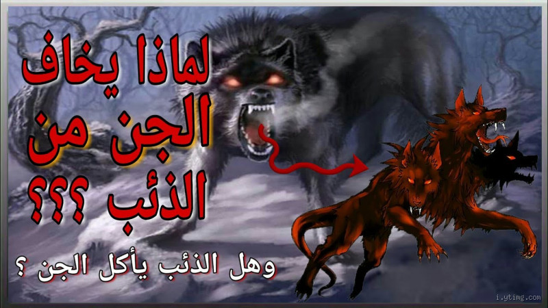 لماذا الشيطان يخاف من الذئب؟ كشف الحقيقة الغامضة