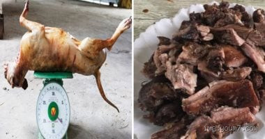 لماذا تم تحريم أكل لحم الكلاب؟ اكتشف السبب وراء هذا التحريم