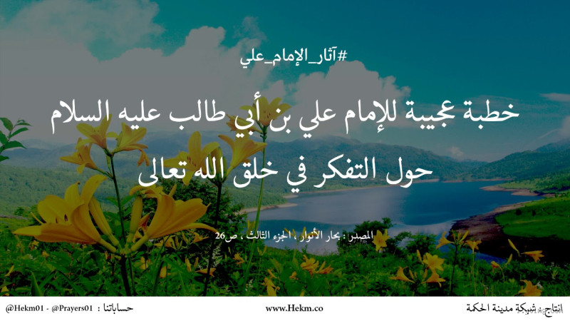 لماذا يخلق الله ناس قبيحة؟ تفكير عميق في الحكمة الإلهية