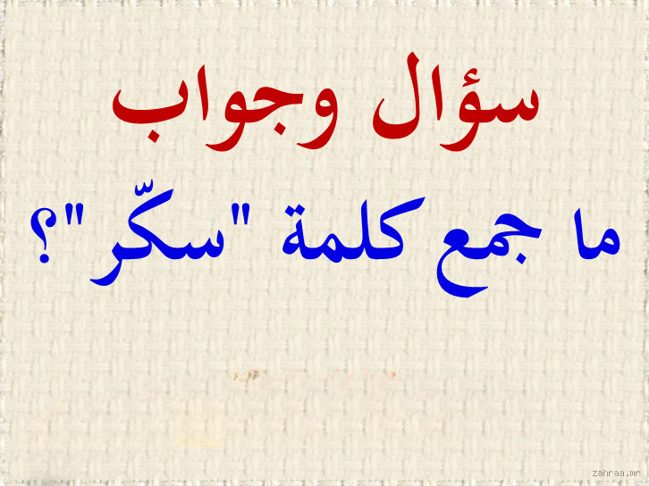 ما هو جمع كلمة مدرب؟ اكتشف الجواب الصحيح!