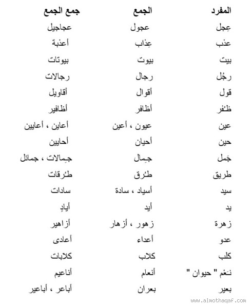 ما هي أشكال جمع كلمة "نفس" وتختلف ما بينها؟