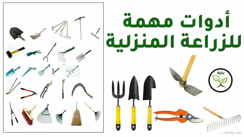 ما هو الشيء الذي يسمع من رجليه؟ اكتشف الجواب الغريب!