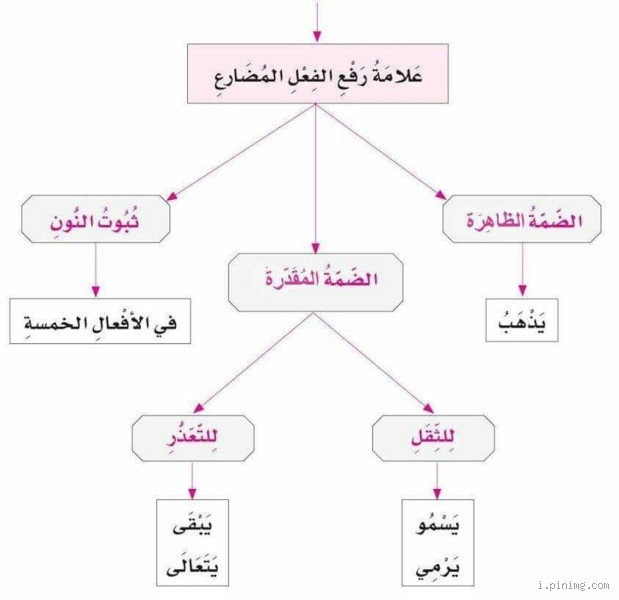 ما هي علامة جزم الفعل المضارع؟ كل ما تحتاج لمعرفته