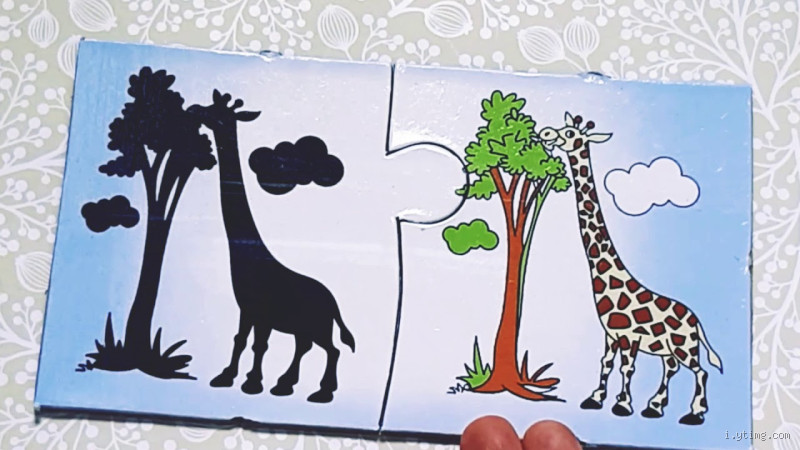 ما هي الصور التي لا ظل لها؟