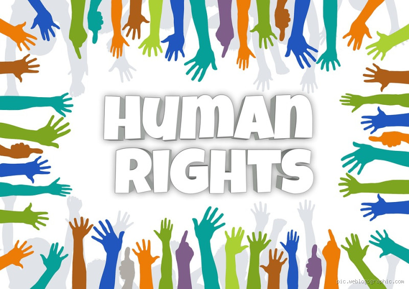 ما الفرق بين الحرية وحقوق الإنسان؟ إجابة قد تفاجئك!