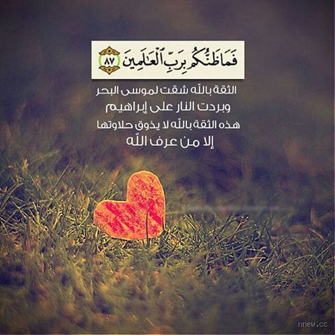 ماذا قيل عن التعلق بالله؟ اكتشف المعاني العميقة لهذا الرابط