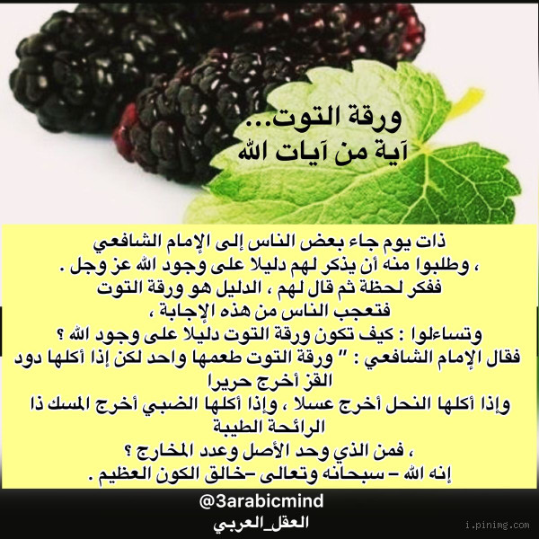 ماذا يعني سقوط ورقة التوت؟ فهم الرمزية والمعنى