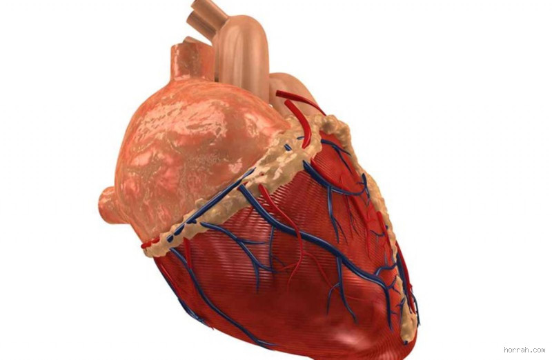 ماذا يحدث عندما ينكسر قلب الرجل؟