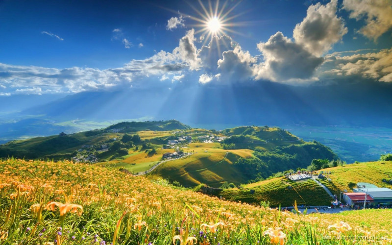 ماذا يوضع في الريسبشن؟ تعرف على أفضل الأفكار لديكور مميز!