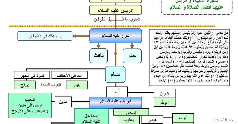 من هو آخر نسل للرسول؟ الحقيقة وراء نسل النبي محمد