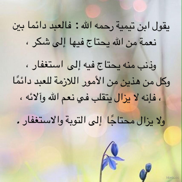 كيف يمكن أن يؤثر الشكر على النعم الصغيرة والكبيرة في حياتنا اليومية، بما في ذلك التأثيرات المحتملة للاستفادة منه كطريقة حياة؟