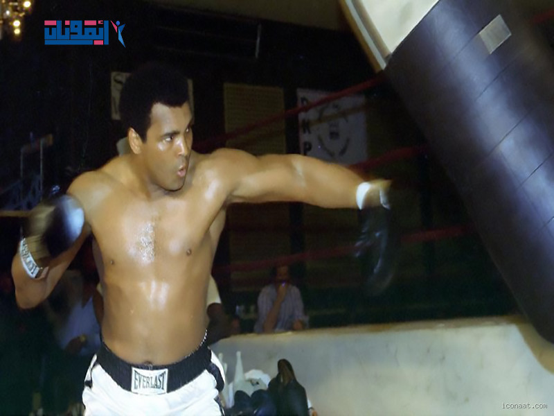 من هو صاحب أقوى لكمة في العالم؟ اكتشف الحقيقة المثيرة!