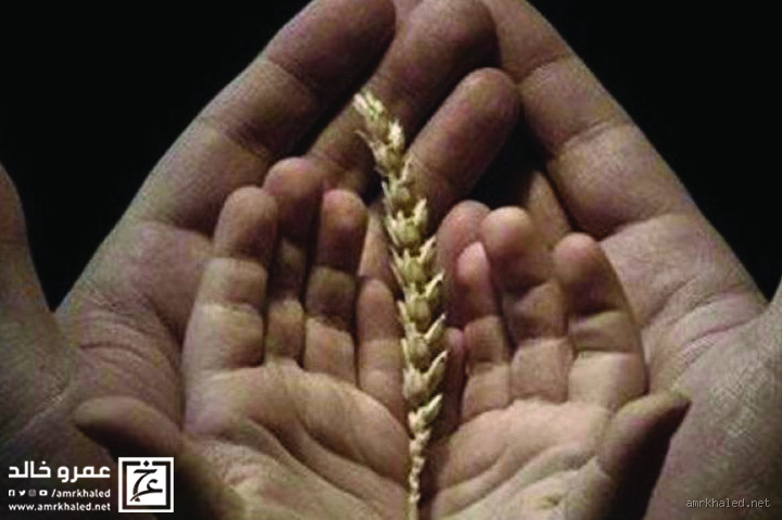 من أراد دوام النعمة؟ تعرف على الطرق التي تضمن لك استمراريتها