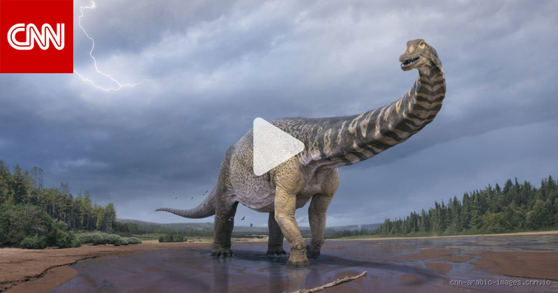 كم وزن اكبر ديناصور؟