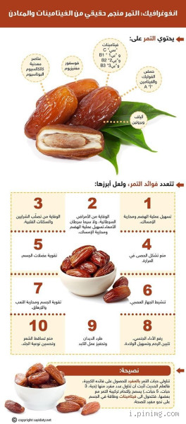 5 حبات تمر كم بروتين؟ تعرف على القيمة الغذائية للتمر