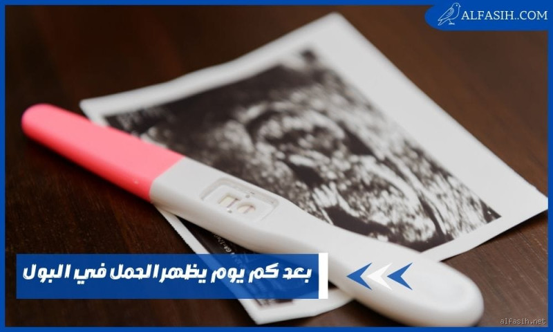 بعد كم يوم يظهر هرمون الحمل في البول؟ تعرفي على الإجابة الدقيقة