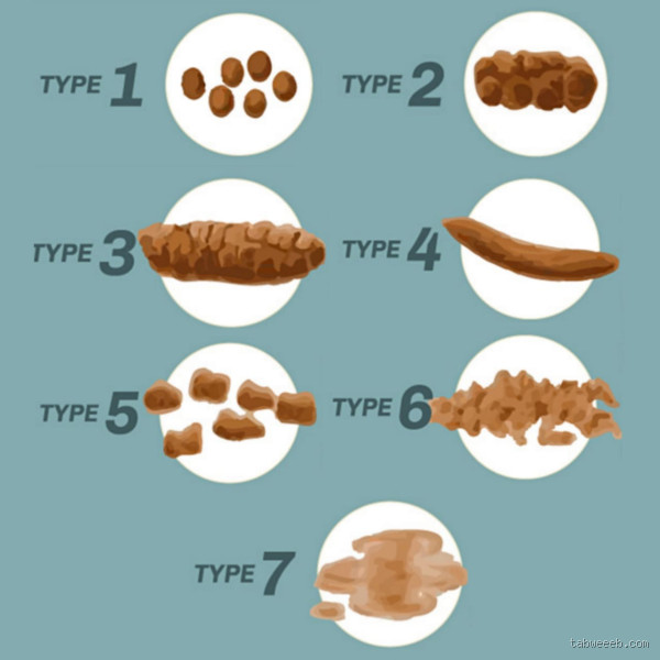 هل الرجيم يغير لون البراز؟ الحقيقة التي يجب أن تعرفها