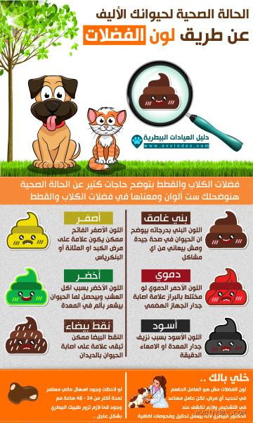 هل التوتر يؤثر على لون البراز؟