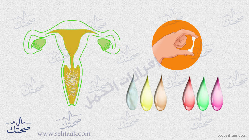 هل الإفرازات البنية قبل الدورة هي علامة مبكرة على الحمل؟