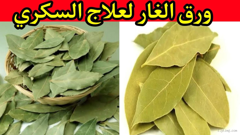 هل ورق الغار والقرفة يرفع الضغط؟