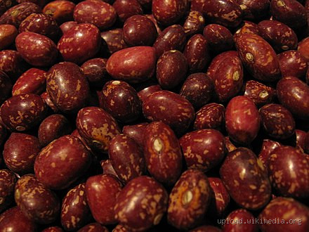 هل يحتوي الفول المسلوق على البروتين؟ اكتشف الحقيقة!