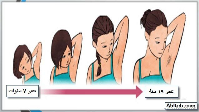 هل يطول الذكر بعد البلوغ؟ حقيقة النمو بعد المراهقة