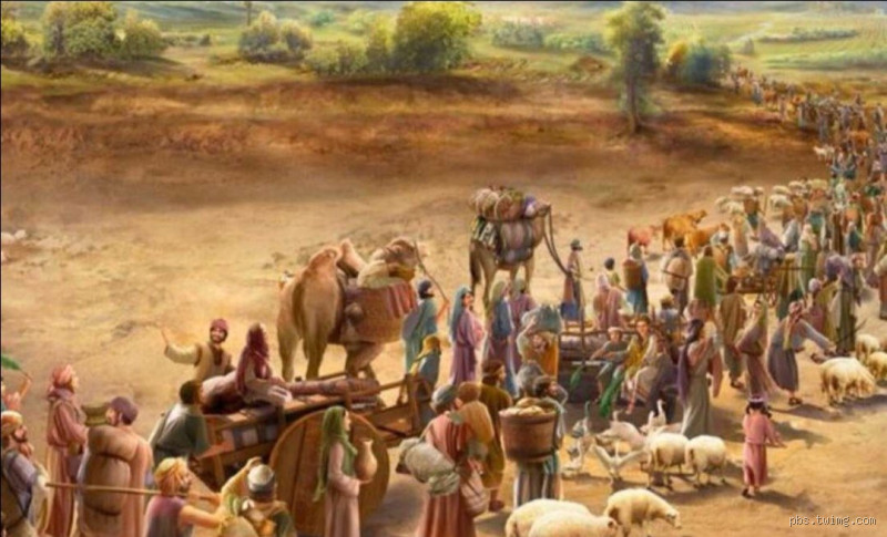 كم عدد ركعات كل صلاة مع السنة والفرض؟ تفاصيل شاملة