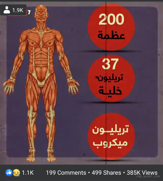 كم من الوقت تتصلّب عضلات الميّت؟ توقيت الصلابة بعد الوفاة