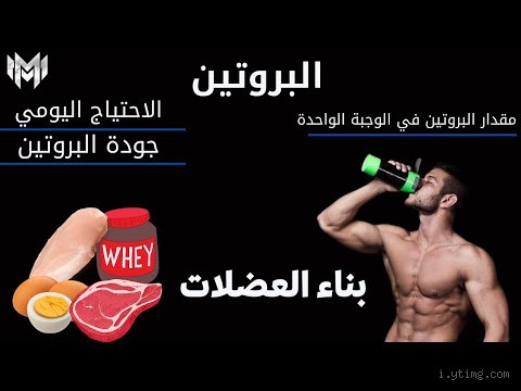 كيف يعمل البروتين على بناء العضلات؟