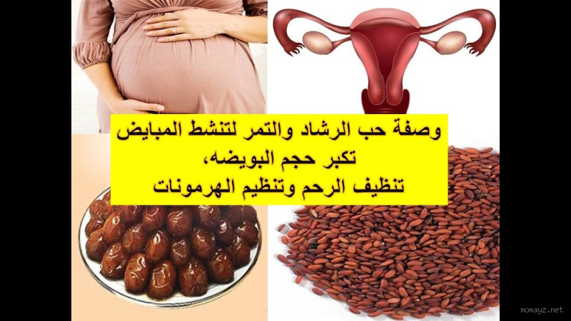 كيف أنشط المبايض بعد الدورة؟