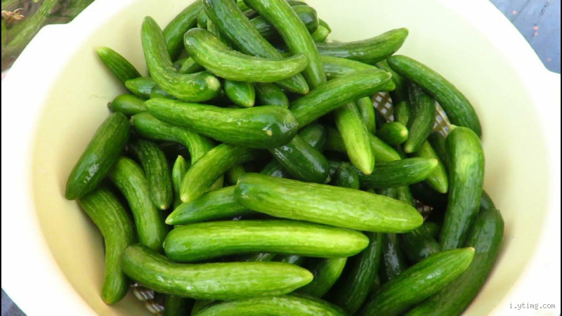 كيف يأكل الخيار؟